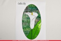å_ѥͥ_CallaLily֥顼_25.5cm13.5cm_12ԡ120000000005