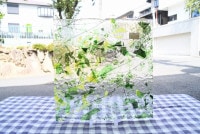 ܥ_UR_11-35_H_701201800026_̿ϸ