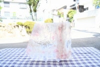 ����ܥ���_UR_11-296_H_701201800032_�̿��ϸ���