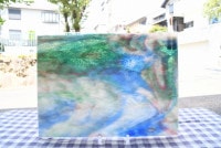 ����ܥ���_UR_65-851_D_701201800059_�̿��ϸ���