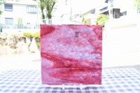 ����ܥ���_UR_66-298_I2_701201800080_�̿��ϸ���