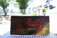 ����ܥ���_UR_65-287_I2_701201900051_�̿��ϸ���