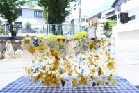 ܥ_UR_11-91_H_701201900062_̿ϸ