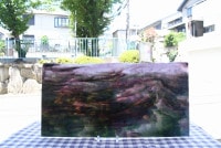 ����ܥ���_UR_00-475_H_701201900068_�̿��ϸ���