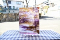 �䥫���ˡ�_UG_1537-SP_E_702201800030_�̿������Τ����ܥ�����_30cm��22cm