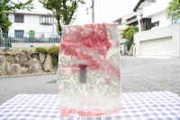 �䥫���ˡ�_UG_1007-HS_H_702201800052_�̿��ϸ���