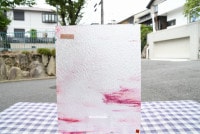 �䥫���ˡ�_UG_1057-SPR_H_702201800110_�̿������Τ����ܥ�����_30cm��22cm