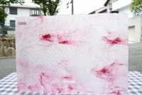 �䥫���ˡ�_UG_1057-SPR_H_702201800111_�̿���1/2�����ܥ�����_30cm��22cm