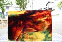 �䥫���ˡ�_UG_5697-SP_E_702201800170_�̿���1/2�����ܥ�����_30cm��22cm