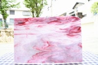 �䥫���ˡ�_UG_NN77-SP_H_702201800186_�̿��ϸ���