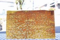 �֥륶��_BU_0111-0000_BU_C_719201101-03_�̿���1/2�����ܥ�����_25cm��22cm