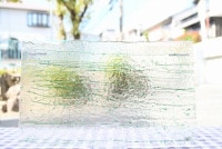 ֥륶_BU_4217-0000_BU_E_719201112-08_̿1/2ܥ_25cm22cm