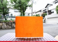 �֥륶��_BU_0025-0000_BU_C_719202100030_�̿��ϸ���