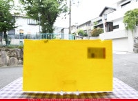 �֥륶��_BU_0220-0030_BUF_C_719202100085_�̿���1/2�����ܥ�����_25cm��22cm