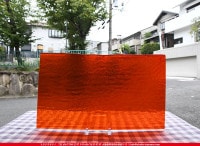 �֥륶��_BU_1125-0011_BU_CI_719202100103_�̿���1/2�����ܥ�����_25cm��22cm