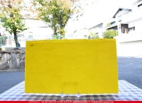 �֥륶��_BU_0120-0030_BUF_C_719202100114_�̿���1/2�����ܥ�����_25cm��22cm