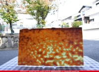 �֥륶��_BU_6011-0000_BU_D_719202100123_�̿���1/2�����ܥ�����_25cm��22cm