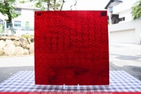 ココモ_K_41 CEL(KCE519)_M_734202000016_写真は見本