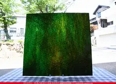 ������_K_165 G_A_734202100081_�̿���1/4�ʱ�����_20cm��20cm_2,946��(�ǹ�)�ΤȤ���20%OFF��