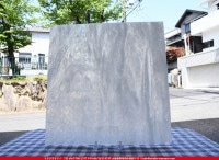 _K_118SPL CEL_AX_734202100083_̿ϸ