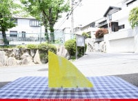 ������_K_166 G_D_734202100287_�̿������Τ����ܥ�����_18cm��22cm