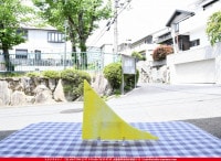 ������_K_166 G_D_734202100288_�̿������Τ����ܥ�����_18cm��23cm