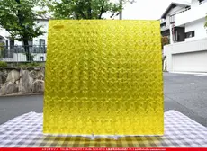 ������_K_216LL CEL_DX_734202100354_�̿��ϸ���