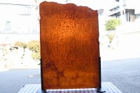 �֥륶��_BU_0203-0000_BU_C_740201900022_�̿���1/4�����ܥ�����_33cm��25cm