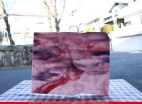 ����ܥ���_UR_00-294_K_701202100003_�̿��ϸ���