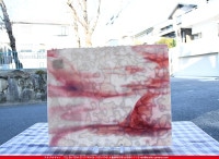 ����ܥ���_UR_00-29_H_701202100022_�̿��ϸ���