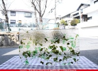 ֥륶_BU_4325-0000_BU_K_719202200014_̿1/2ܥ_25cm22cm