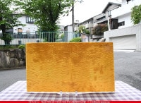 ������������_C_MR103L_B_739202200001_�̿���1/2�����ܥ�����_25cm��22cm