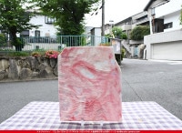 �䥫���ˡ�_UG_1007-RGR_H_702202200032_�̿������Τ����ܥ�����_30cm��25cm