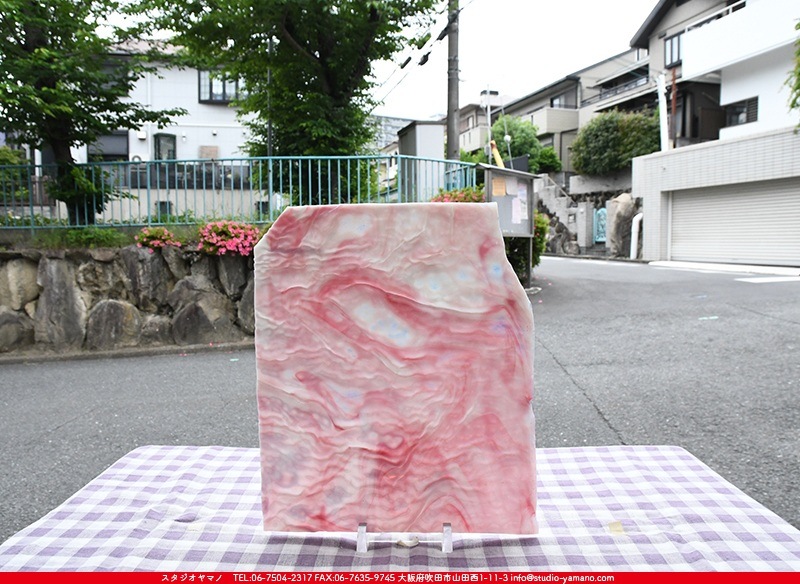 ヤカゲニー_UG_1007-RGR_H_702202200032_写真の全体が基本サイズ_30cm