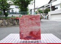 �䥫���ˡ�_UG_1077-RG_H_702202200033_�̿������Τ����ܥ�����_30cm��24cm