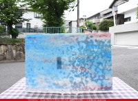 �䥫���ˡ�_UG_1667-RG_E_702202200046_�̿���1/2�����ܥ�����_30cm��22cm