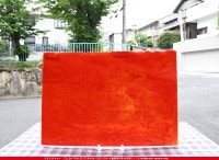 �䥫���ˡ�_UG_9050-HS_A_702202200053_�̿���1/2�����ܥ�����_30cm��22cm