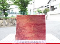 �䥫���ˡ�_UG_3007-RG_E_702202200058_�̿������Τ����ܥ�����_30cm��35cm