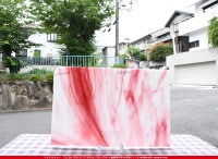 ޡ_W_7-L DR_I_707202200141_̿1/2ܥ_26cm20cm