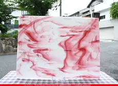 �������ޡ���_W_7-L DR_I_707202200152_�̿���1/4�����ܥ�����_20cm��26cm