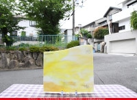 ������_K_169ML_D_734202200176_�̿������Τ����ܥ�����_26cm��26cm