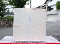 _K_880SPL G_D_734202200213_̿1/4ܥ_20cm20cm