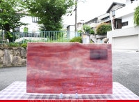 �֥륶��_BU_6210-0000_BU_E_719202200041_�̿���1/2�����ܥ�����_25cm��22cm