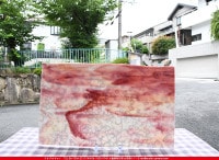 �֥륶��_BU_6323-0000_BU_E_719202200046_�̿���1/2�����ܥ�����_25cm��22cm