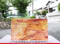 �֥륶��_BU_6323-0000_BU_E_719202200047_�̿���1/2�����ܥ�����_25cm��22cm