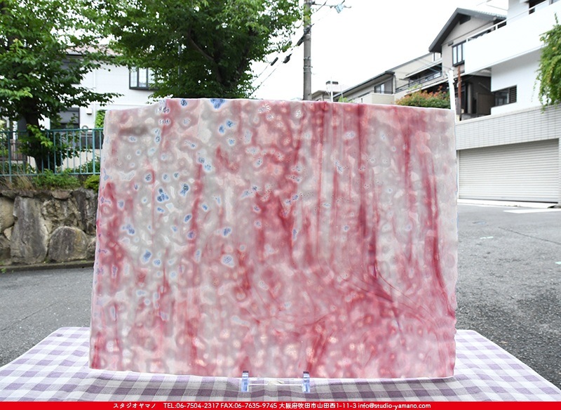 オセアナ_OC_601_C_737202200005_写真の1/2が基本サイズ_34cm×22cm 