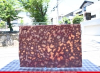 �䥫���ˡ�_UG_3007-RG_E_702202200094_�̿���1/2�����ܥ�����_30cm��22cm