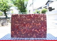 �䥫���ˡ�_UG_3007-RG_E_702202200095_�̿���1/2�����ܥ�����_30cm��22cm