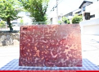 �䥫���ˡ�_UG_3007-RG_E_702202200096_�̿���1/2�����ܥ�����_30cm��22cm