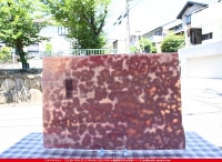 �䥫���ˡ�_UG_3007-RG_E_702202200097_�̿���1/2�����ܥ�����_30cm��22cm